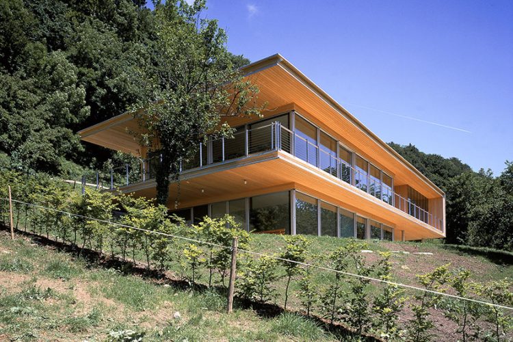 Einfamilienhaus-Holzbau-Bregenz-35-03